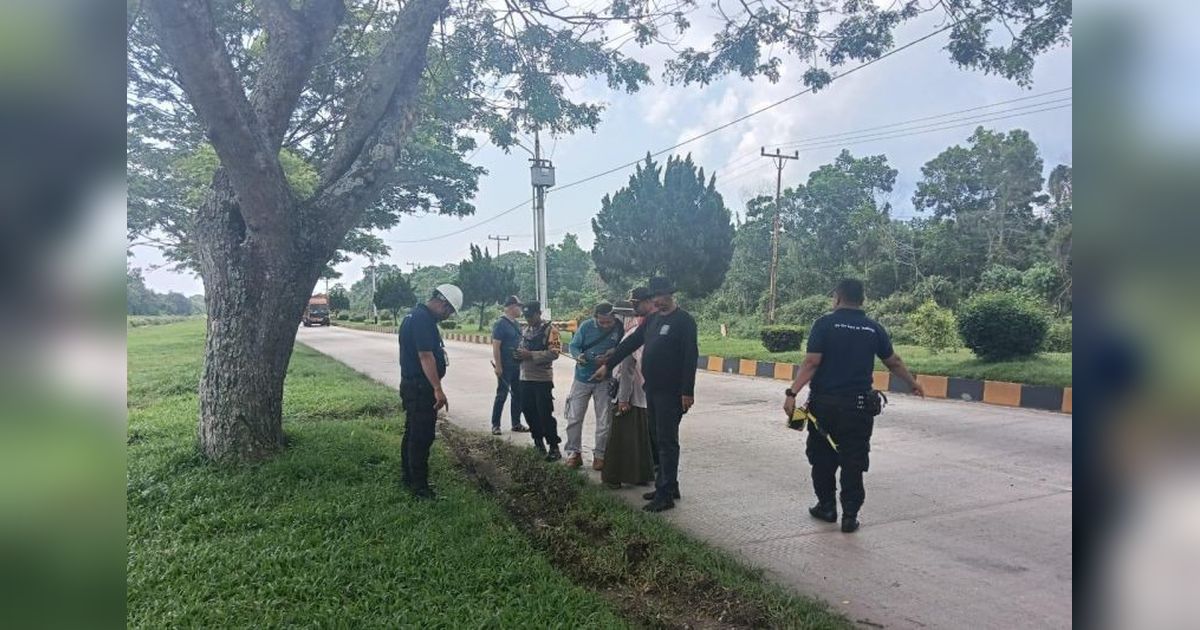 Harimau Sumatra Muncul di Sekitar Pabrik Goni Dumai, BBKSDA Riau Pasang Kamera Jebak