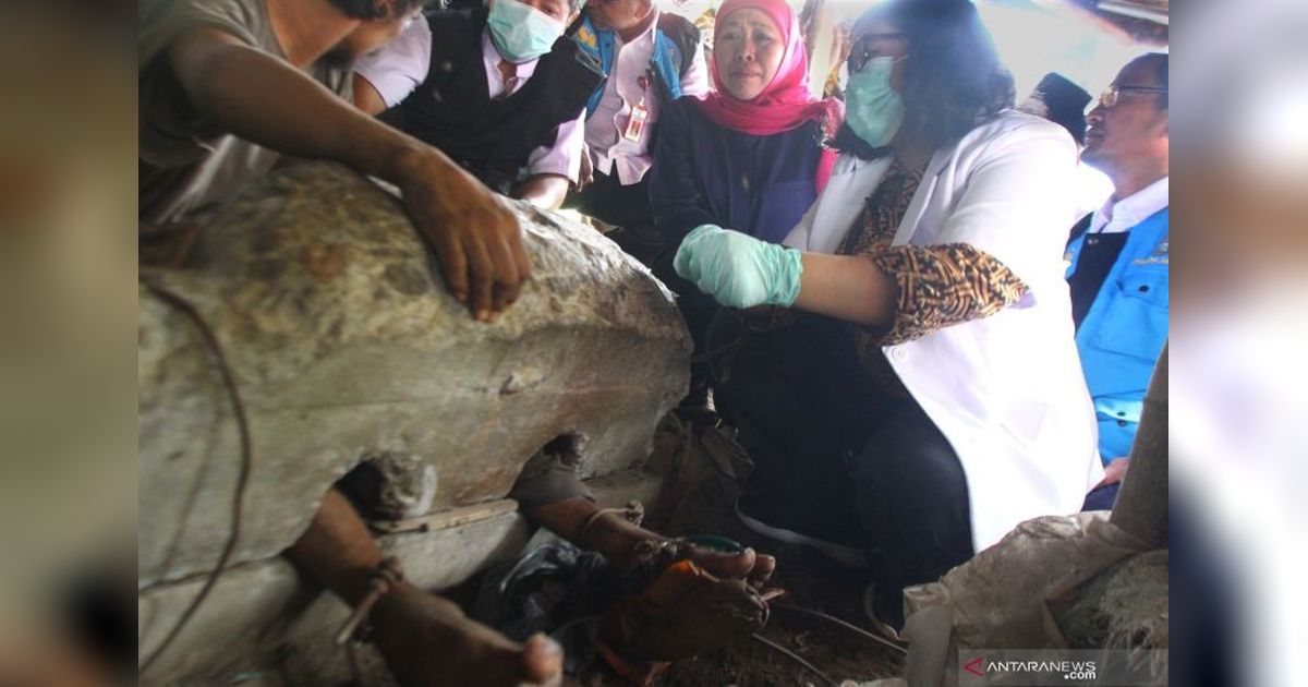 Dinsos Tulungagung Awasi Tiga ODGJ yang Masih Dipasung, Butuh Pendekatan Persuasif