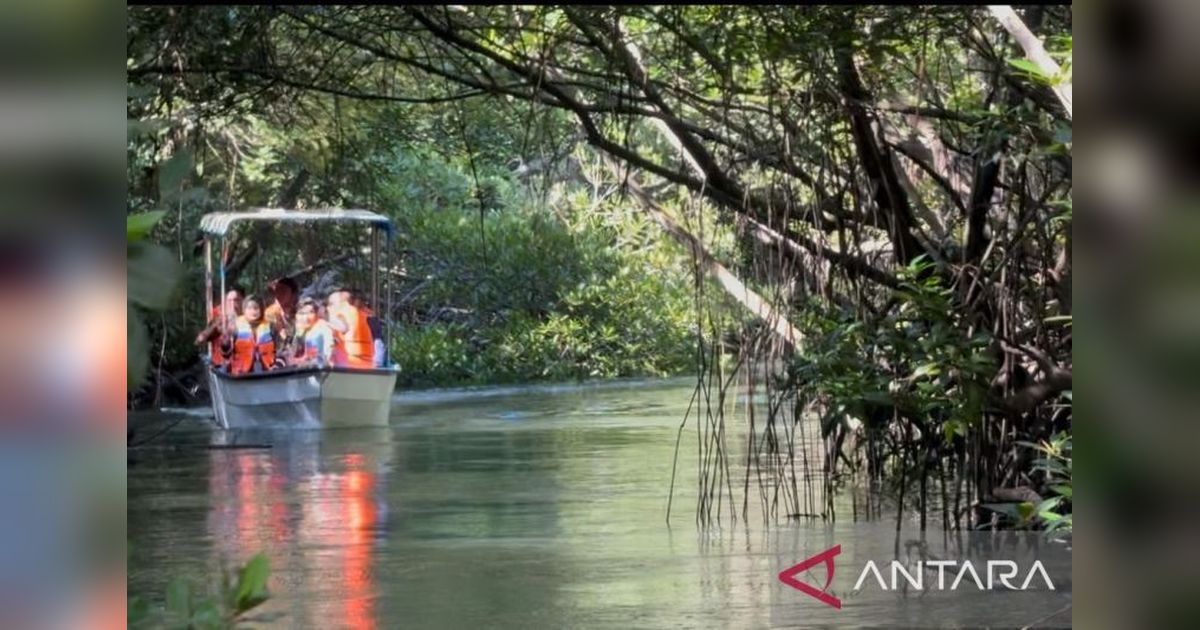 Menjaga Ekosistem Pantai Bali: Kisah Sukses Konservasi Mangrove dan Ekowisata