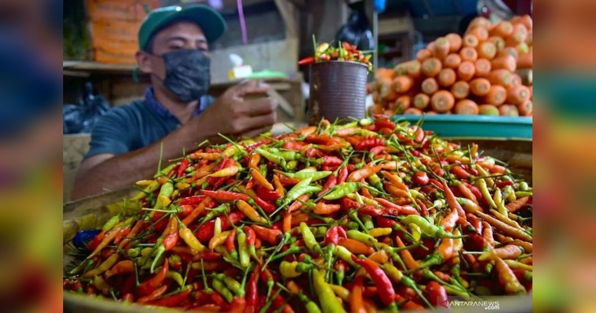 Harga Cabai Rawit Merah Tembus Rp68.961 per Kg, Telur Ayam Ras Turun Harga