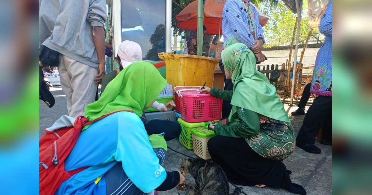 Pemkot Jaktim Sterilisasi 2.000 Kucing untuk Tekan Populasi