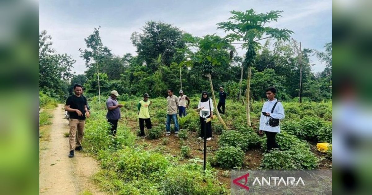 BPN Muna Barat Tekankan Pentingnya Tanda Batas Tanah untuk Cegah Sengketa