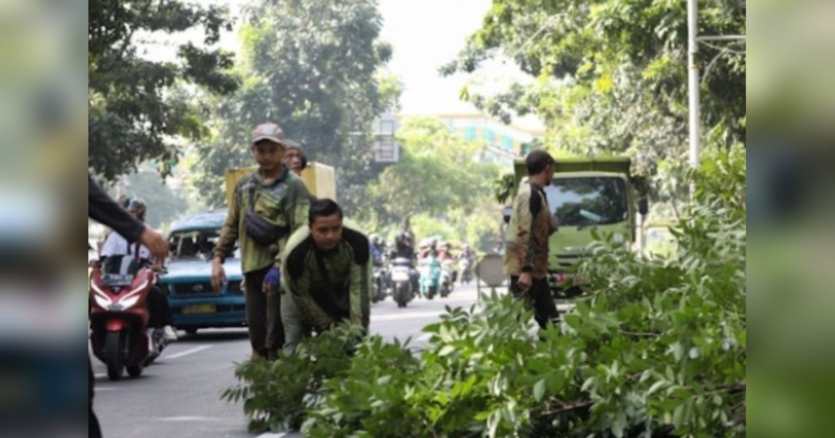 Pemkot Jakut Pangkas Ratusan Pohon Cegah Bencana Tumbang