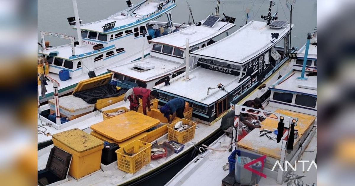 Produksi Ikan Nelayan Bangka Tembus Rp26 Miliar, Target 2025 Optimis Tercapai