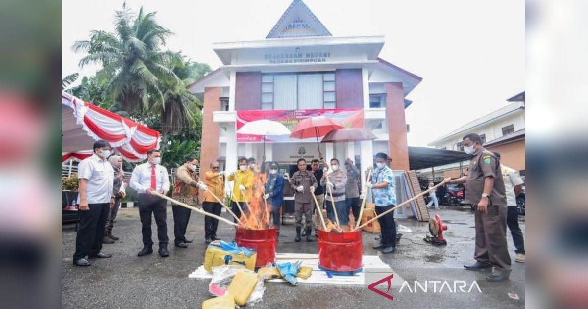 Kejari Padangsidimpuan Musnahkan Barang Bukti 96 Perkara: 63 Kg Ganja Dimusnahkan!