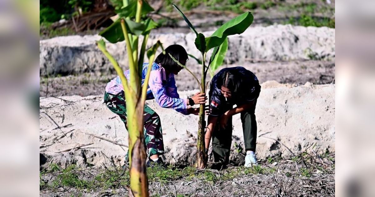 Lanud RSA Natuna Tanam 200 Bibit Pisang, Wujud Nyata Dukungan Ketahanan Pangan Nasional