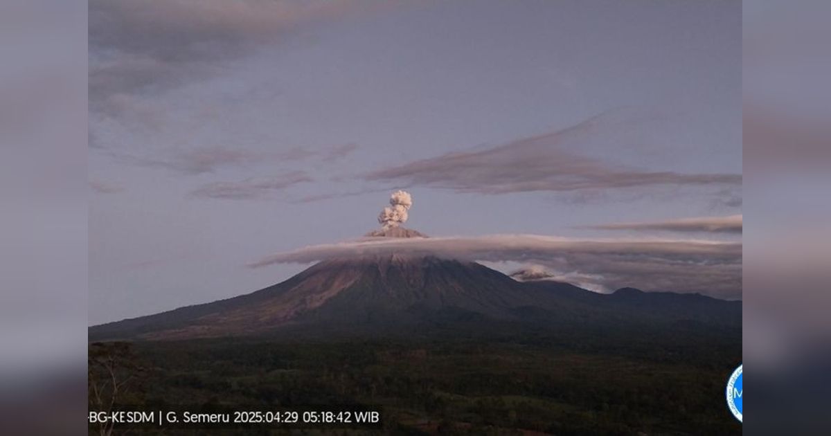 Semeru Erupsi! Letusan 900 Meter di Atas Puncak, Warga Diminta Jauhi Zona Bahaya