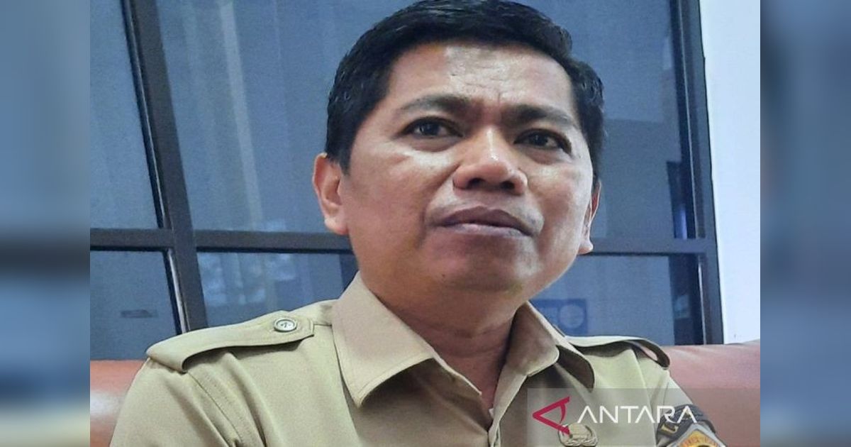 Harga TBS Kelapa Sawit di Sulawesi Tenggara Naik Jadi Rp2.600/kg