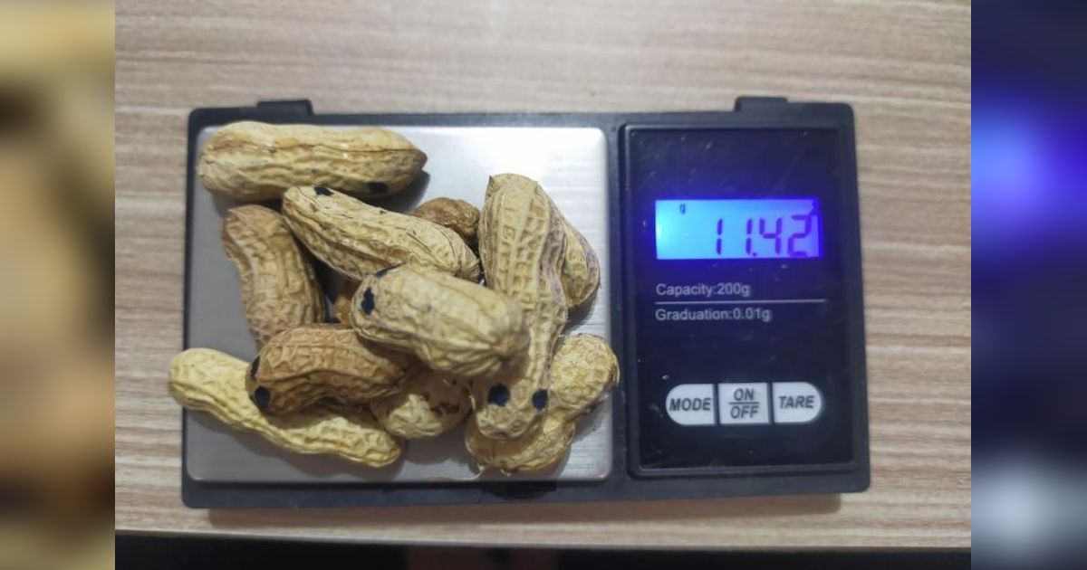 Modus Baru Edarkan Sabu: Dalam Kulit Kacang, Polresta Bandung Ungkap Jaringan Narkoba