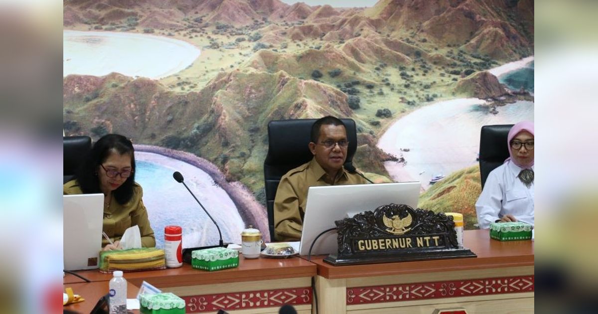 Pengembangan Geothermal Flores Ditinjau Ulang: Gubernur NTT Bentuk Tim Teknis