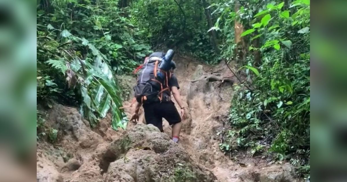 Jalur Pendakian Gunung Dempo Dibuka Kembali 1 Mei 2025