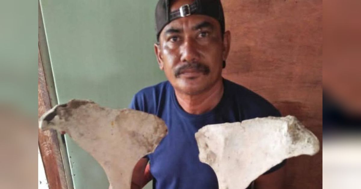 Temuan Tulang Diduga Fosil di Tanjabtim, Jambi: Pemkab Segera Koordinasi dengan BPK