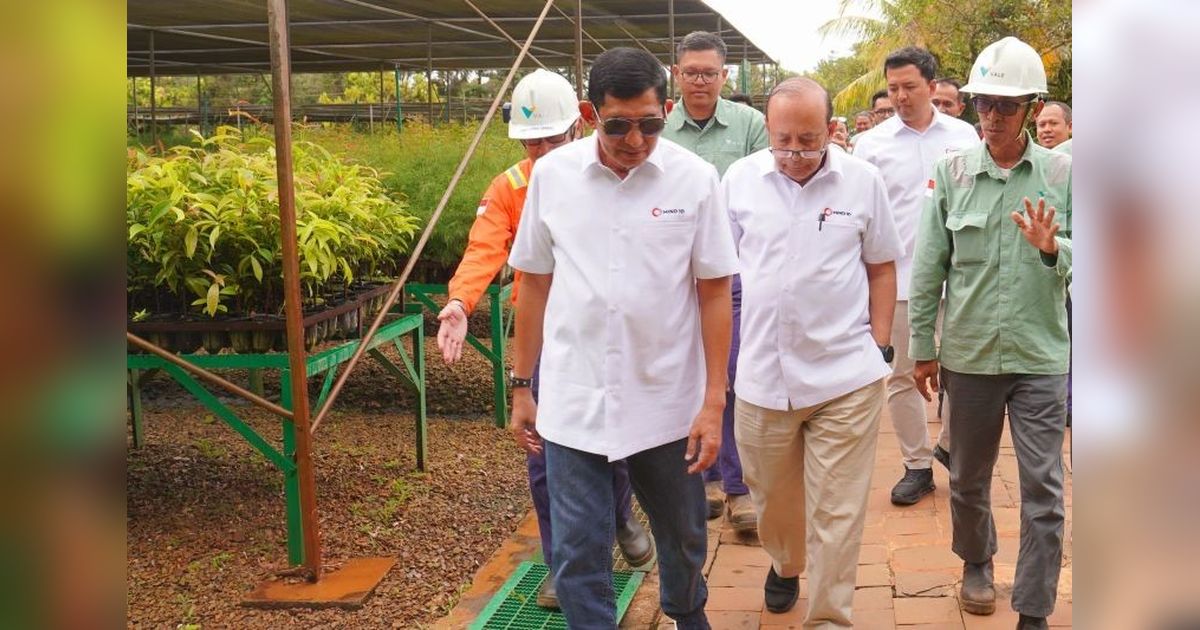 MIND ID dan Vale Indonesia Reklamasi 3.791 Hektare Lahan Tambang: Upaya Lestari untuk Negeri