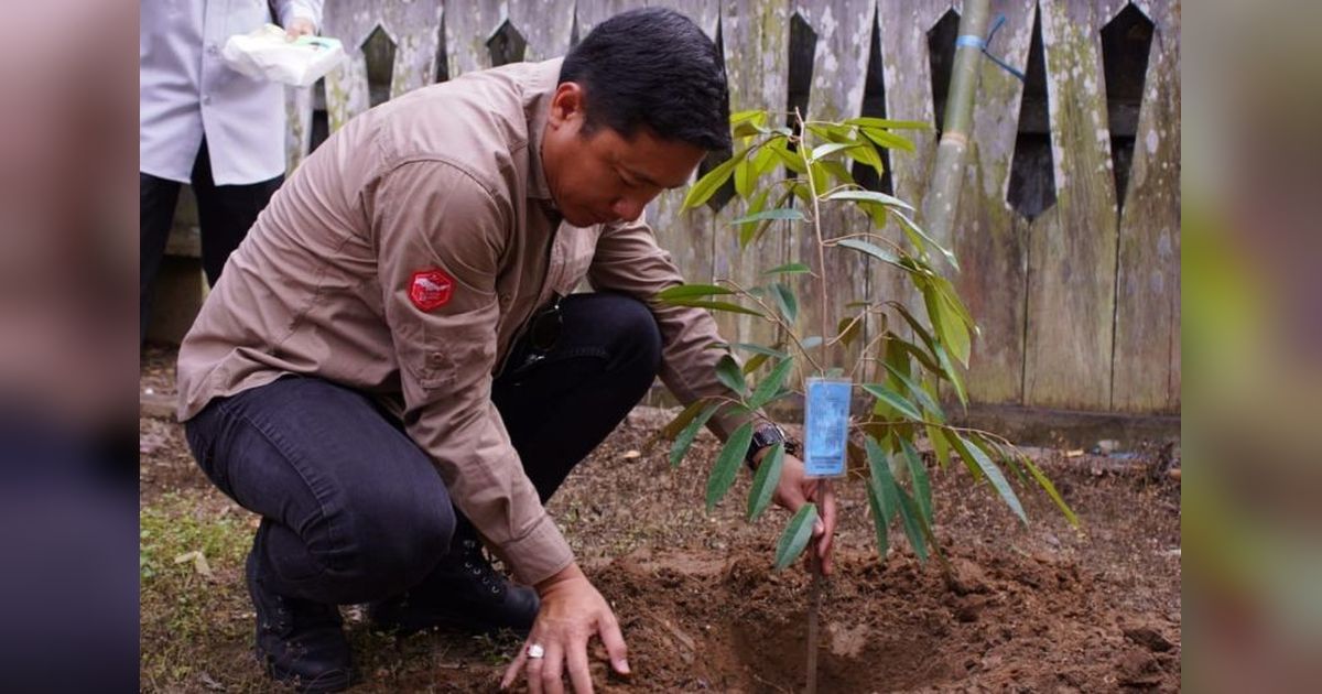 DPMPD Kaltim Dorong Desa Wisata Wehea dengan Bibit Buah Unggul
