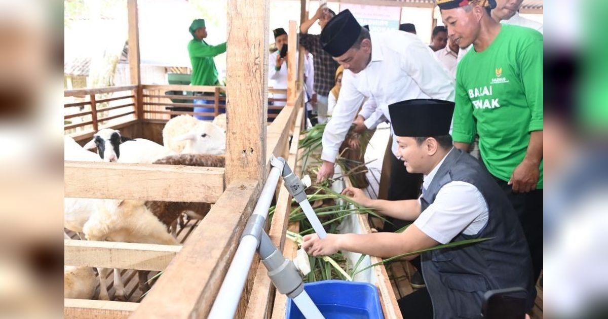 BAZNAS Luncurkan Balai Ternak Barokah Farm di Trenggalek, Berdayakan Peternak Domba