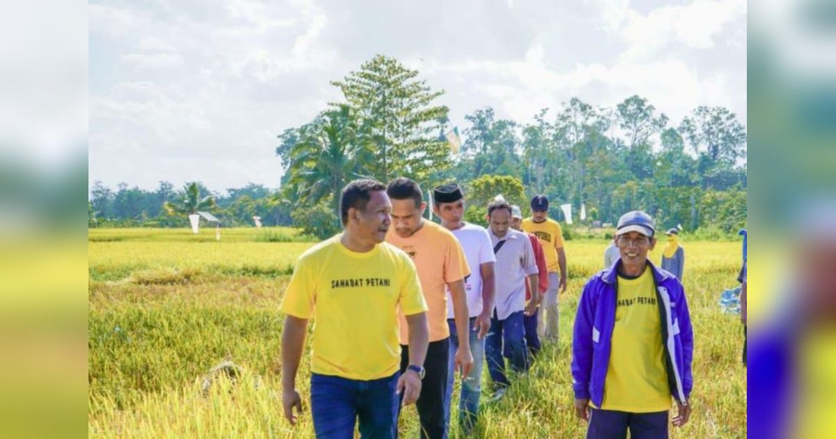 Muna Barat Siapkan 22.500 Kg Benih Jagung Kuning, Bulog Siap Tampung Hasil Panen