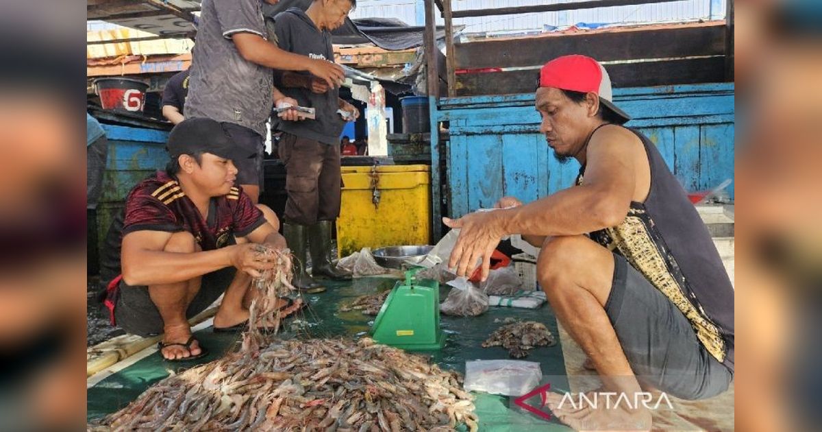 Pemprov Papua Fokus Kembangkan 5 Langkah Jitu Majukan Perikanan