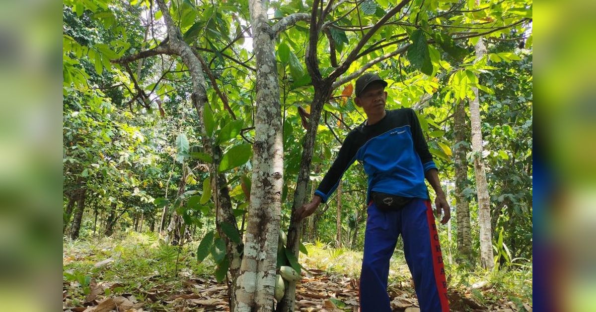 Potensi 1,9 Juta Hektare Perhutanan Sosial untuk Ketahanan Pangan Nasional