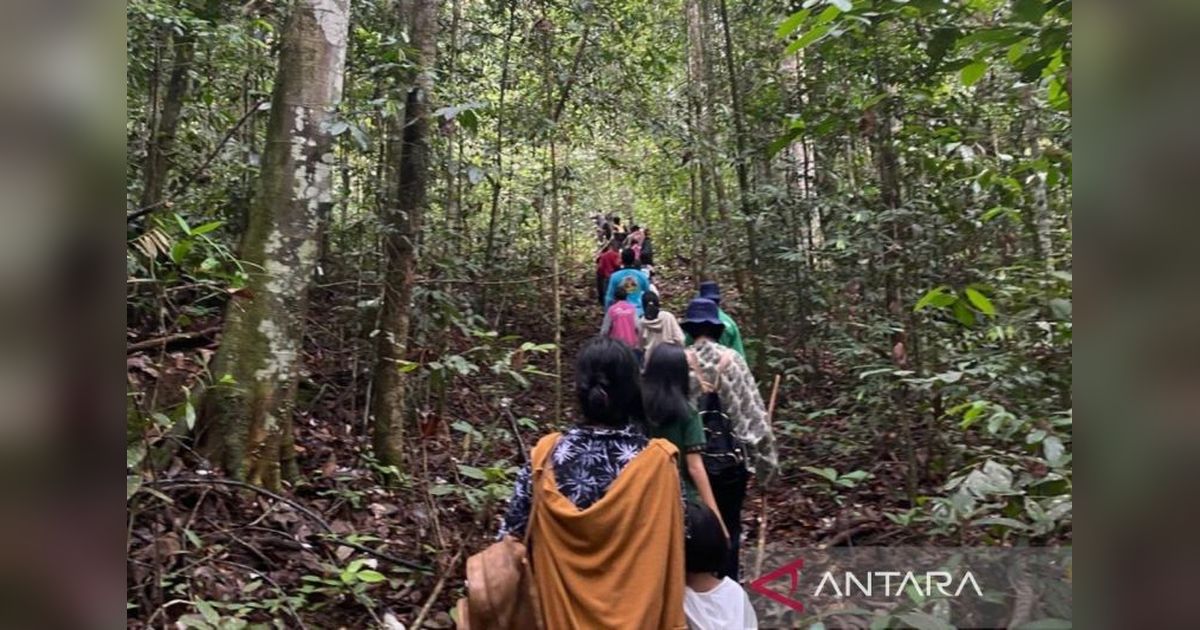 Kemenhut Dukung Penuh Penambahan Kelompok Usaha Perhutanan Sosial di Hutan Adat
