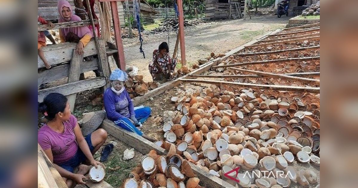 Harga Kopra Hitam di Kendari Tembus Rp20.000 per Kilogram!