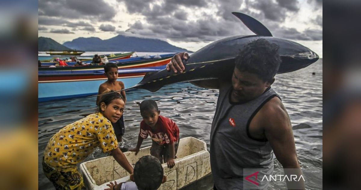 Indonesia: Produsen Tuna Terbesar Dunia, Raih 15 Persen Pangsa Pasar Global