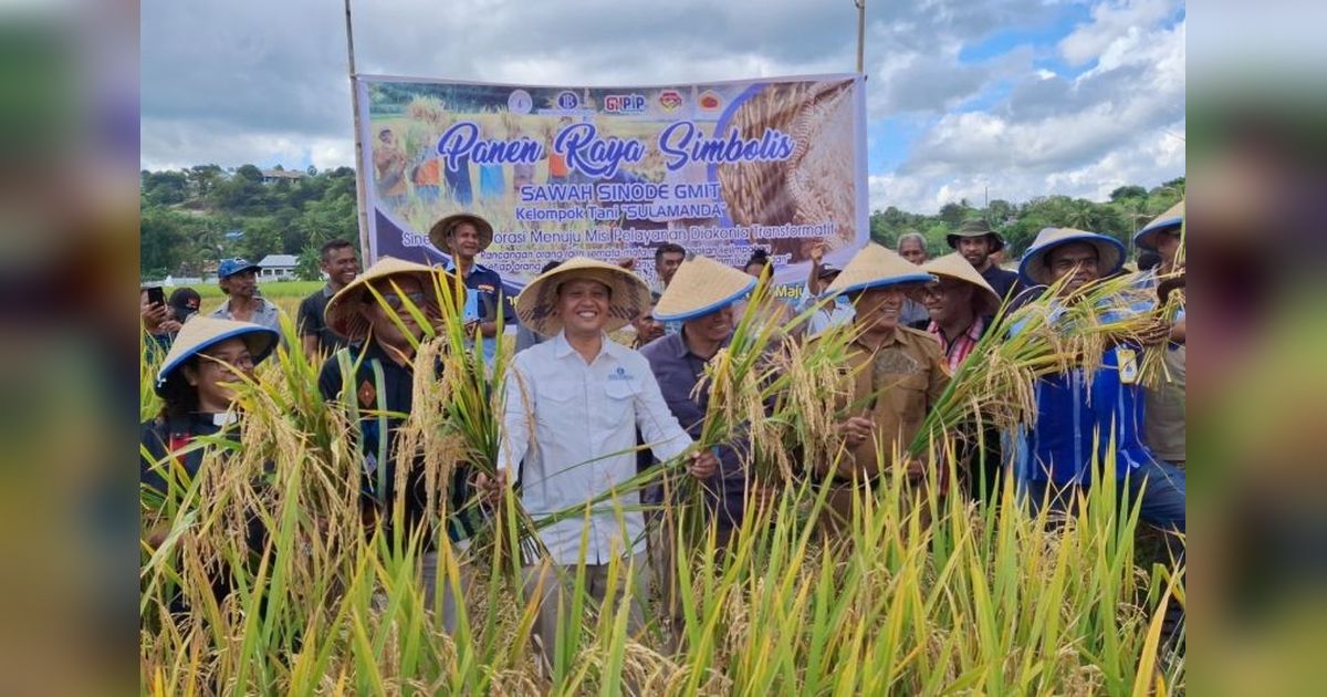 BI dan GMIT Sinergi Tingkatkan Produktivitas Beras NTT, Atasi Defisit Rp1,8 Triliun