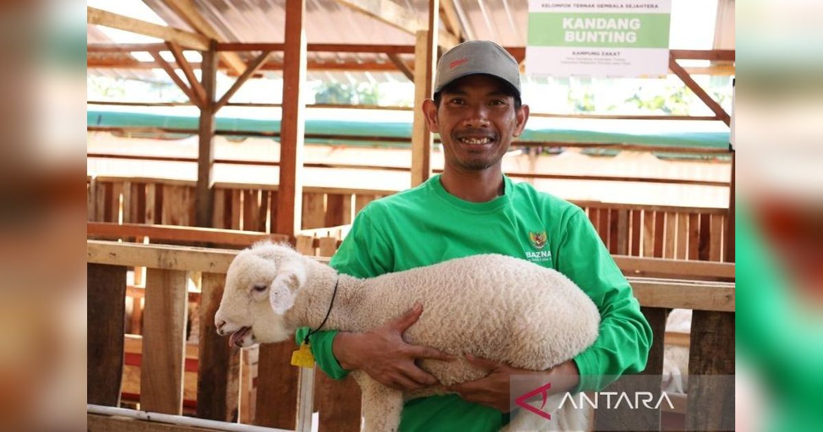 Baznas Luncurkan Program Balai Ternak di Mojokerto untuk Entaskan Kemiskinan