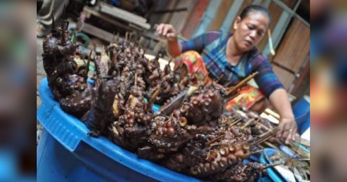 NTB Kajian Biologi Gurita Selat Alas: Produksi Meningkat, Kelola Lestari Jadi Kunci