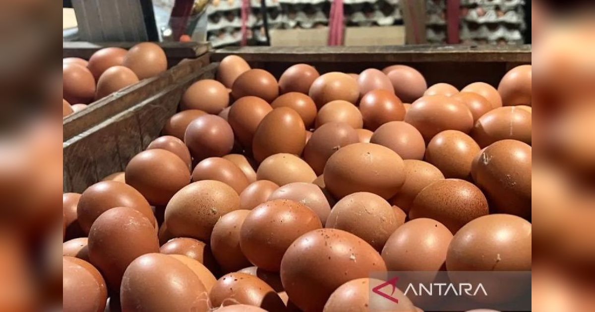 Harga Bawang Merah Turun, Tapi Telur Ayam Naik! Ini Update Harga Pangan Terbaru