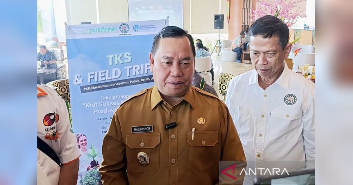 Kotim Berupaya Optimalkan Akses Air Bersih untuk Cegah Serangan Buaya