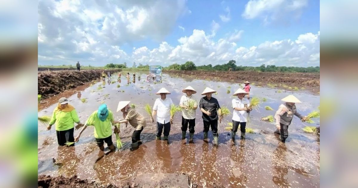 BPBD Kotim Antisipasi Kekeringan untuk Dukung Swasembada Pangan
