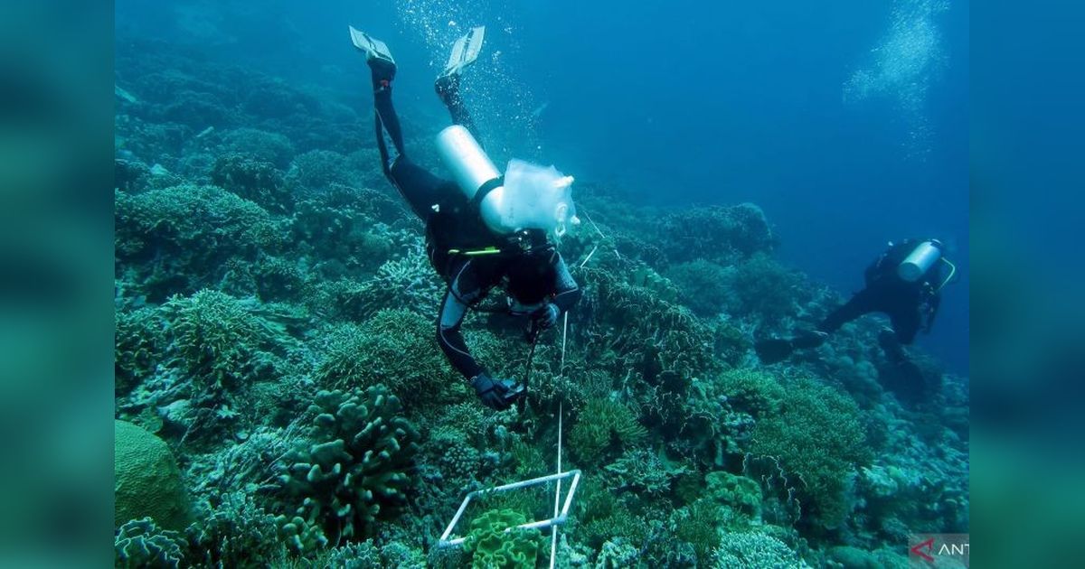 Ekspedisi Pemprov Maluku: Jaga Laut Teon, Nila, Serua untuk Perikanan Berkelanjutan