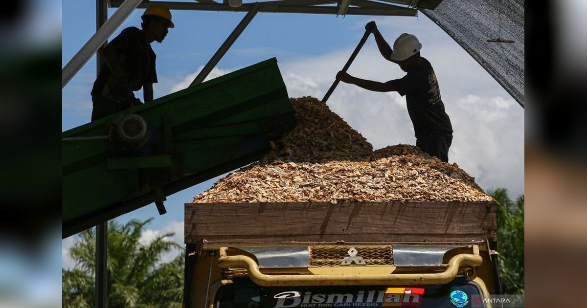 Tragedi Berulang: Kecelakaan Kerja di Indonesia dan Sistem Perlindungan yang Rapuh
