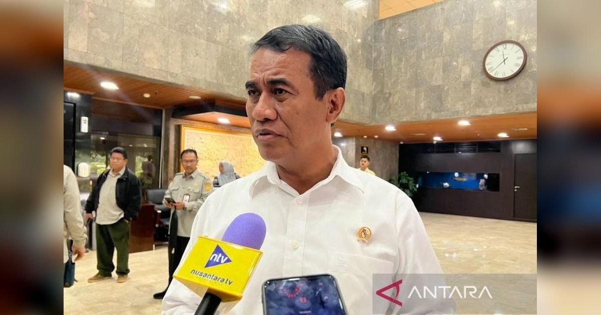 Produksi Beras RI Tertinggi di ASEAN, Capai 34,6 Juta Ton!