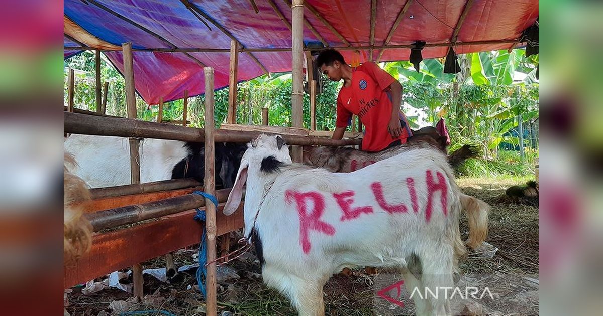 Jakbar Pastikan Tempat Pemotongan Hewan Kurban Sesuai Aturan