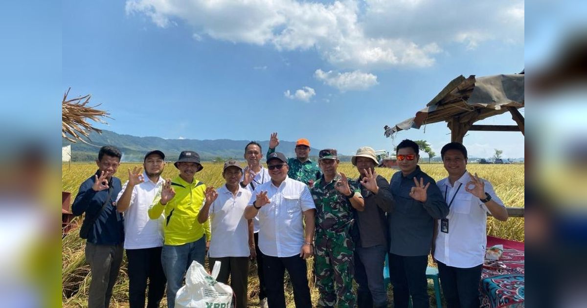 Bulog dan Pupuk Indonesia Jalin Sinergi Serap Gabah, Perkuat Ketahanan Pangan Nasional