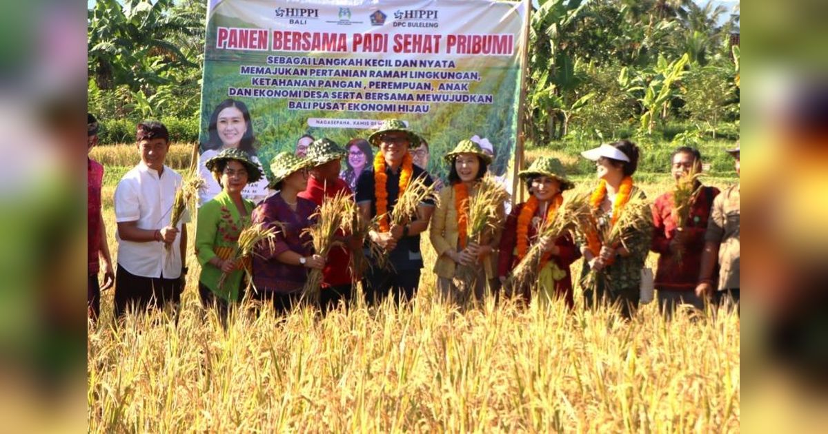 Wamen PPPA Panen Padi di Buleleng, Dorong Ketahanan Pangan untuk Masa Depan Anak Bangsa