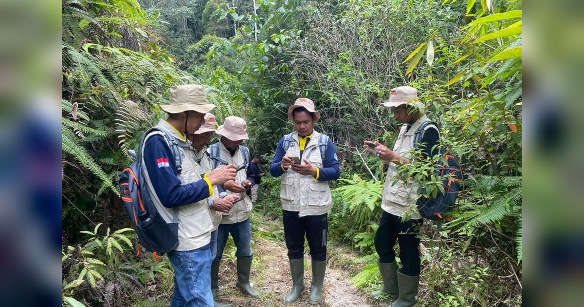 BKSDA Sumbar dan SINTAS Bentuk Patroli Anak Nagari Cegah Konflik Harimau Sumatera