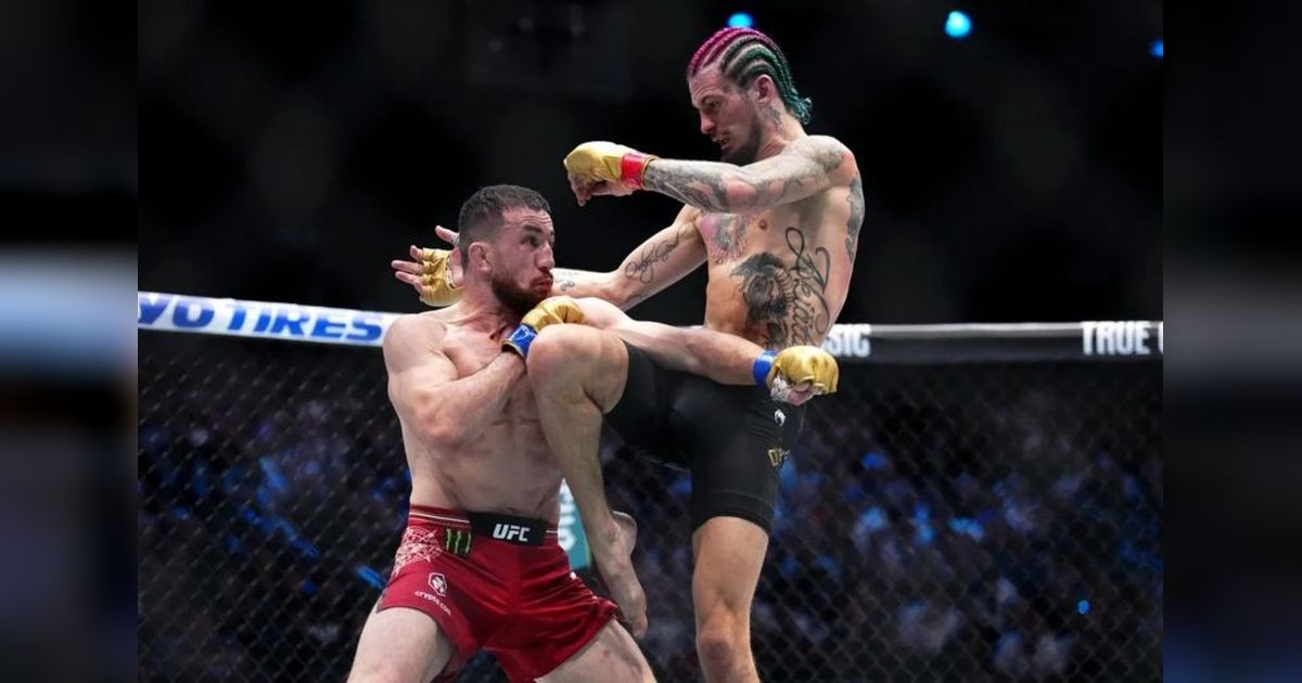UFC 316: Duel Perebutan Gelar Bantam di New Jersey, Dvalishvili vs O'Malley dan Peña vs Harrison!