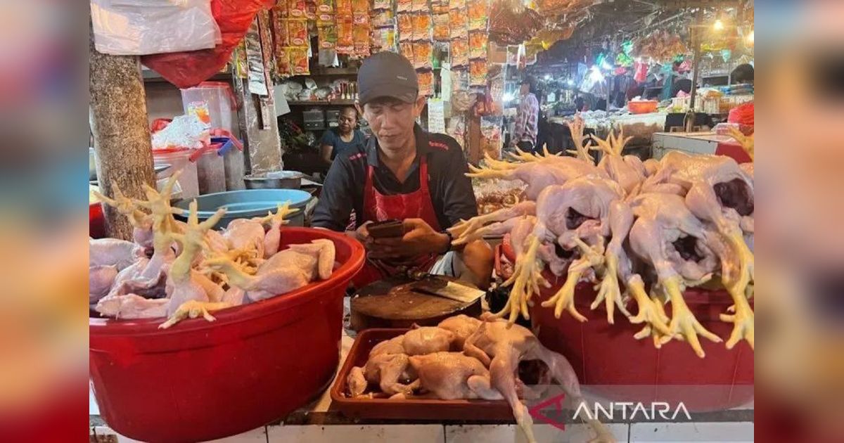 Harga Daging Ayam Naik, Cabai Rawit Merah Turun: Bapanas Catat Pergerakan Harga Pangan Terbaru
