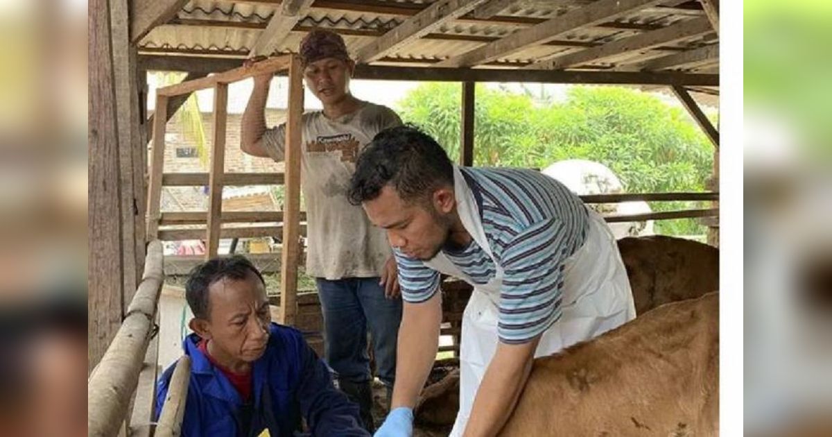 Waspada PMK! Kota Tangerang Perketat Pengawasan Ternak dan Tawarkan Vaksinasi Gratis