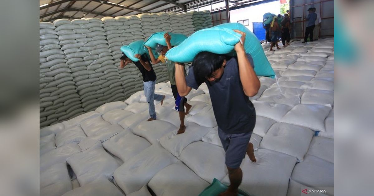 Harga Beras Premium Turun di April 2025, Sentuh Rp13.047 per Kilogram