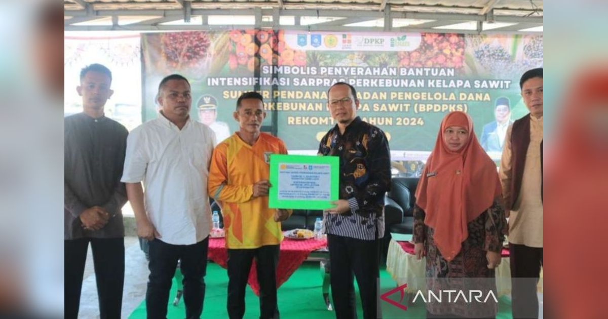 Rp1,5 Miliar Mengalir: Bangka Tengah Dukung Petani Sawit Tingkatkan Produktivitas
