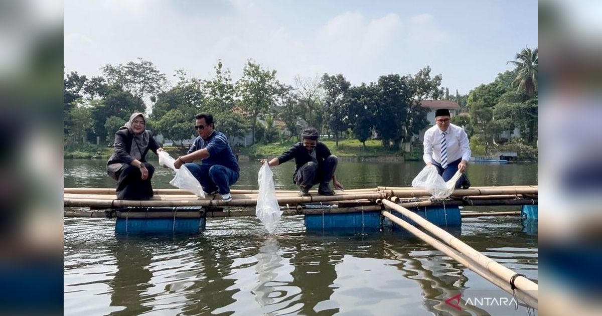 Ribuan Bibit Ikan Nila Ditebar di Situ Plaza Cibinong, Panen Raya di Hari Jadi Bogor ke-543