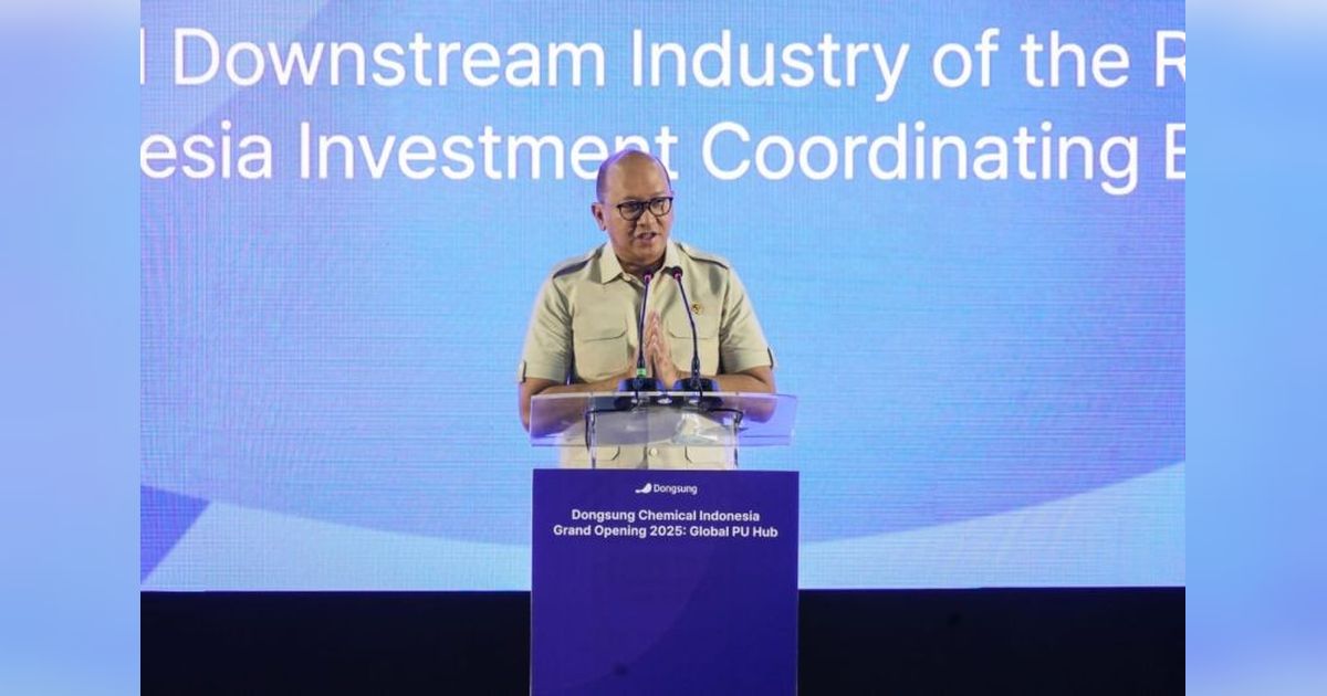 Investasi Korea Selatan di Indonesia Tetap Tinggi, Pabrik Dongsung Chemical di Karawang Buktinya