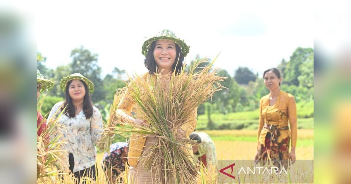 Perencanaan Keluarga untuk Generasi Berkualitas: Himbauan Wakil Menteri