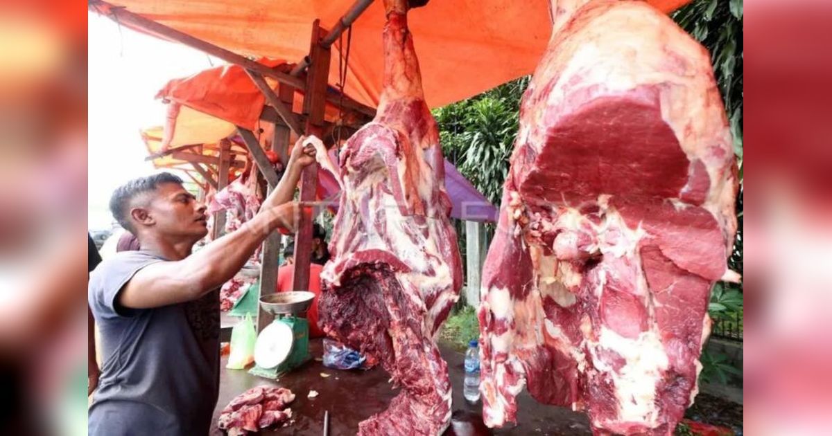 Penghapusan Kuota Impor: Solusi Percepat Pemenuhan Kebutuhan Daging Sapi di Indonesia?