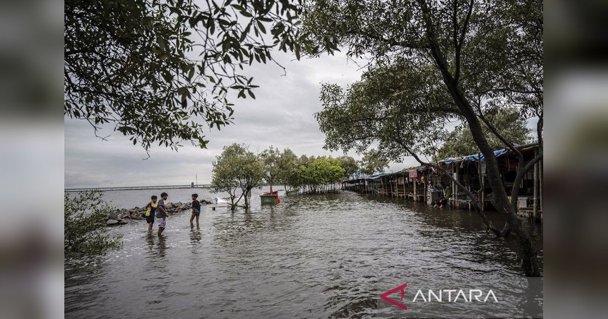 Indonesia Mulai Rancang Rencana Adaptasi Nasional untuk Perubahan Iklim