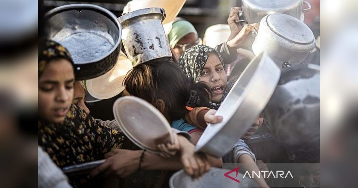 Palestina Desak PBB Tetapkan Gaza sebagai Zona Kelaparan: Krisis Kemanusiaan Mengancam Jutaan Jiwa