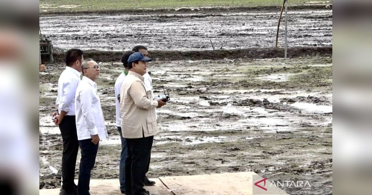 Tanam Raya: Pacu Produksi Pangan dan Kesejahteraan Petani Indonesia